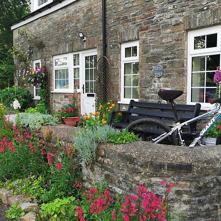 Swansea Valley Holiday Cottages Cilybebyll Kültér fotó