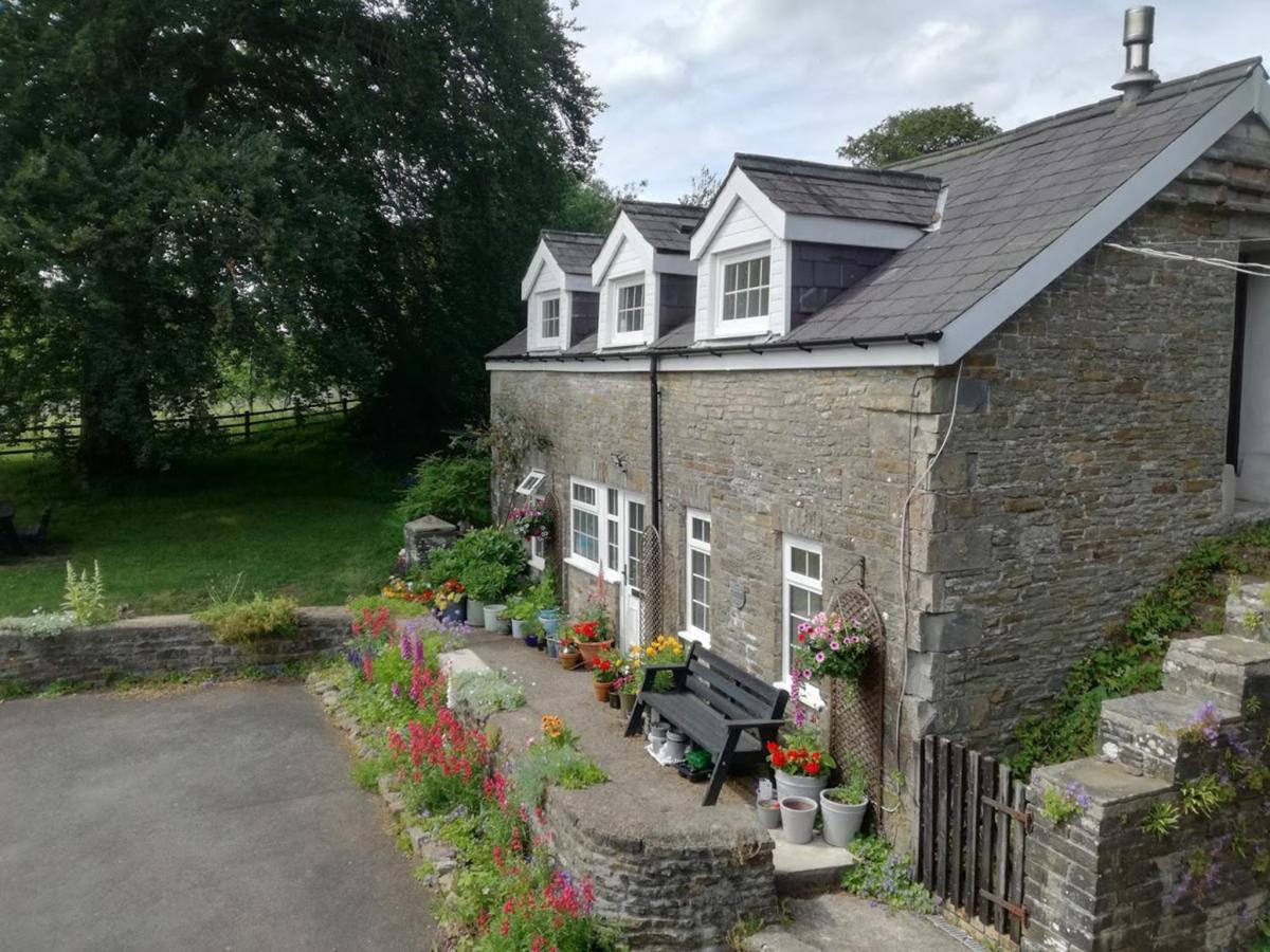 Swansea Valley Holiday Cottages Cilybebyll Kültér fotó