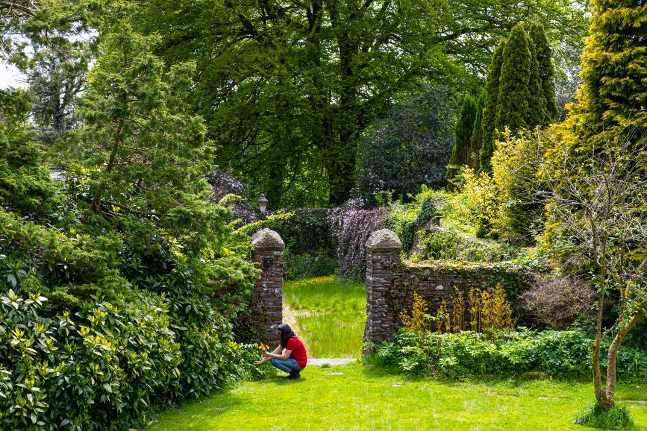 Swansea Valley Holiday Cottages Cilybebyll Kültér fotó
