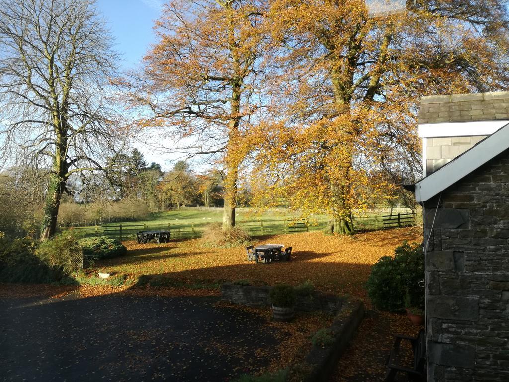 Swansea Valley Holiday Cottages Cilybebyll Kültér fotó